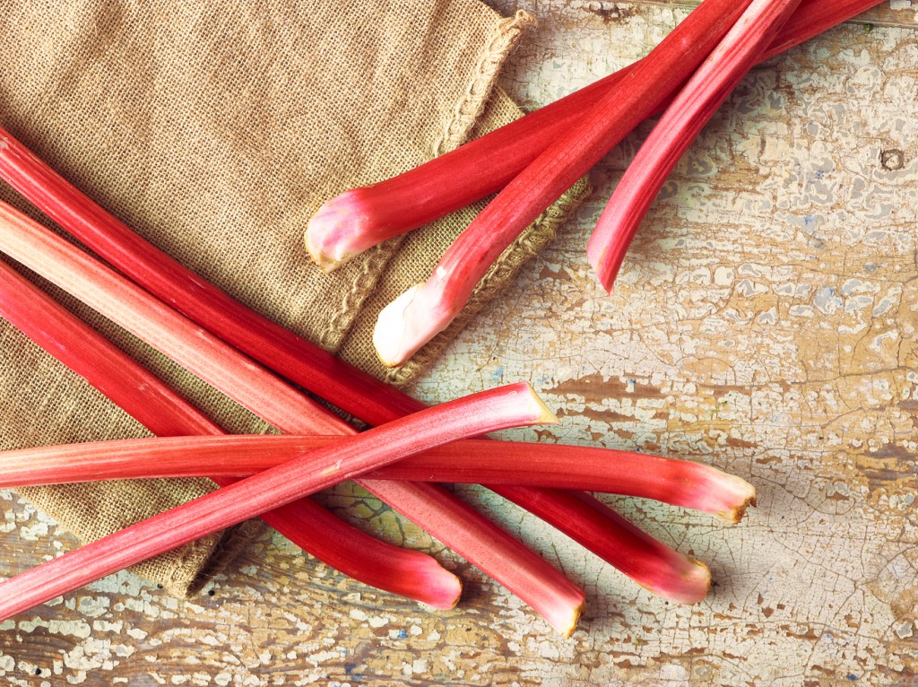 [Rhubarb Forced]